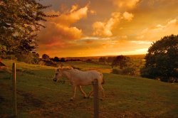 Dosthill, Staffordshire