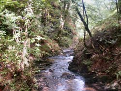 Lydford Gorge, Lydford, Devon Wallpaper