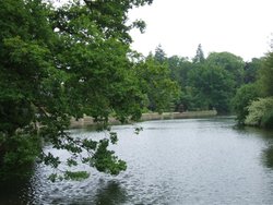 Thorp Perrow Wallpaper