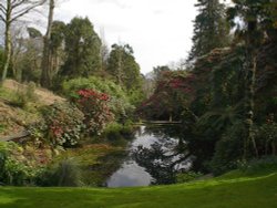 Heligan Gardens, Mevagissey, Cornwall Wallpaper