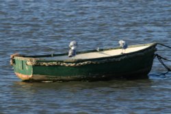 Boats for all, Burnham-on-Crouch, Essex Wallpaper