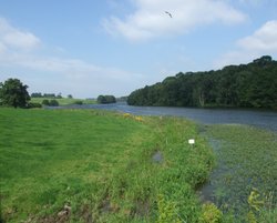 Staunton Harold Reservoir, Leicestershire Wallpaper