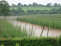 Floods at Newnham Bridge, Worcestershire Wallpaper