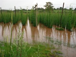 Floods at Newnham Bridge, Worcestershire Wallpaper