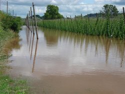 Floods at Newnham Bridge, Worcestershire Wallpaper