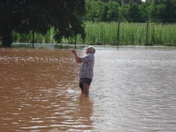 Floods at local cricket ground, Newnham Bridge, Worcestershire Wallpaper