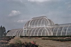 The Palm House at Kew Gardens, Greater London Wallpaper