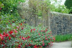 Escape for a day out at Nymans Garden in Handcross, West Sussex Wallpaper