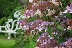 Escape for a day out at Nymans Garden, Handcross, West Sussex Wallpaper