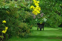 Escape for a day out at Nymans Garden, Handcross, West Sussex Wallpaper