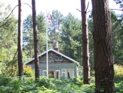 Forest Lodge, Fritton Wallpaper