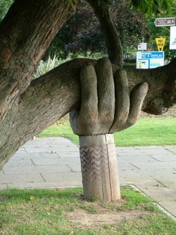 The Wonky Conker Tree with it's Helping Hand - Bideford, Devon