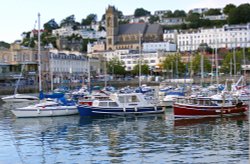 Torquay Harbour, Devon Wallpaper