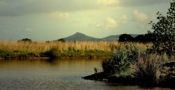 Roseberry Topping, Newton under Roseberry, North Yorkshire Wallpaper