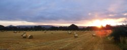 Hay Bales, Newton under Roseberry, North Yorkshire Wallpaper