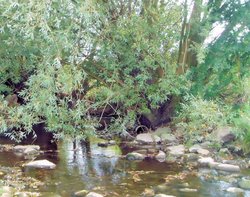 The Brook off Lings Lane, Keyworth, Nottinghamshire Wallpaper