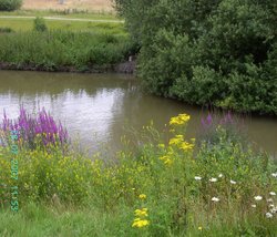 Pools Brooke Country Park Wallpaper