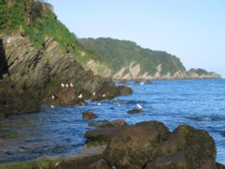 Fishing in the bay at Combe Martin, Devon Wallpaper