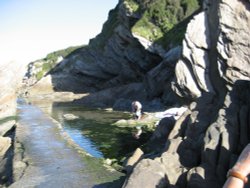 Tide pool, Combe Martin, Devon Wallpaper