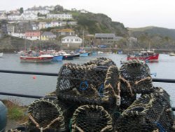 Mevagissey Harbour, Cornwall Wallpaper