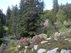 Cragside gardens, Rothbury, Northumberland Wallpaper