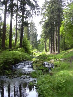 Cragside gardens in Rothbury, Northumberland