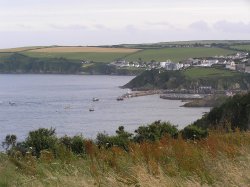 Cliff-top view of Mevagissey harbour in Cornwall, during Feast week Wallpaper