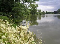 The lake at Hever Castle, Kent Wallpaper