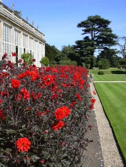 Orangery border at Belton House, Belton, Lincolnshire