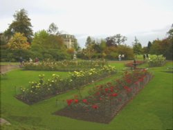 Rose garden and House, Kedleston Hall, Derbyshire Wallpaper