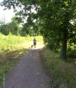 Walk in the Woods, Carburton, Nottinghamshire