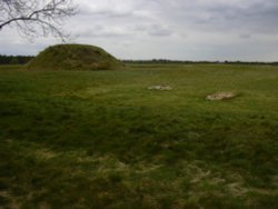 Burial mound with graves of a man & a horse, Sutton Hoo, Woodbridge, Suffolk Wallpaper