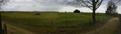 Panorama of the burial mounds, Sutton Hoo, Woodbridge, Suffolk Wallpaper