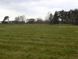 Burial mounds, Sutton Hoo, Woodbridge, Suffolk Wallpaper