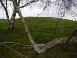 Burial mounds, Sutton Hoo, Woodbridge, Suffolk Wallpaper