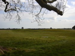 Burial mounds, Sutton Hoo, Woodbridge, Suffolk Wallpaper