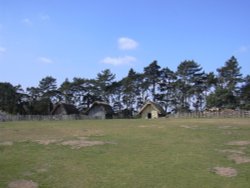 West Stow Country Park, West Stow, Suffolk Wallpaper