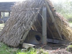 The outdoor oven, West Stow Country Park, West Stow, Suffolk Wallpaper