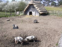 The pig sty, West Stow Country Park, West Stow, Suffolk Wallpaper