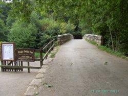 Fingle Bridge Wallpaper