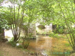 Fingle Bridge Wallpaper