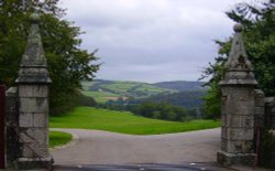 Lanhydrock View Wallpaper