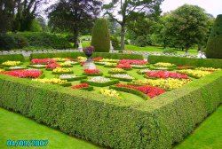 Formal Gardens at Lanhydrock Wallpaper