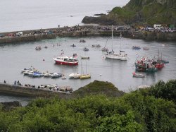 Raft race in Mevagissey harbour Wallpaper