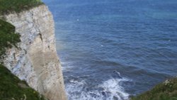 Bempton Cliffs, East Riding of Yorkshire Wallpaper