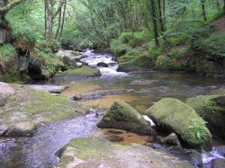 Golitha Falls, Draynes, Cornwall Wallpaper