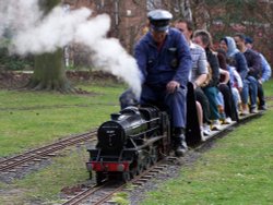 Steam in the park, Norwich, Norfolk Wallpaper