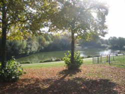 Boating Lake in Autumn, Fairlands Valley Park, Stevenage, Hertfordshire Wallpaper