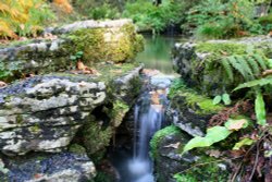 Autumn at Exbury Gardens, Hampshire