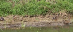 River Bain, Tattershall, Lincolnshire Wallpaper